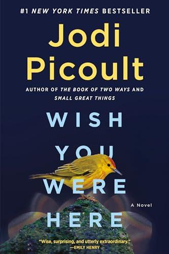 Wish You Were Here: A Novel Cover